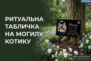 Ритуальна табличка на могилу котику фото