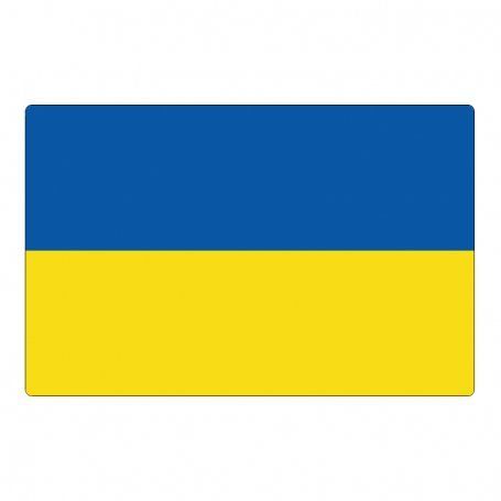Нагрудний знак &mdash; Бейдж із прапором України металевий із кріпленням на одяг магніт або шпилька 1607555994 фото
