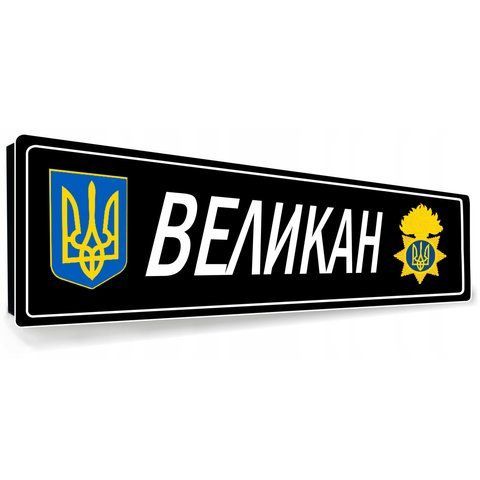 Номери на машину сувенірні з металу 2152754421 фото