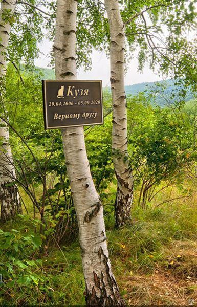 Ритуальна табличка для тваринки (собачки, котика) 1719386869 фото
