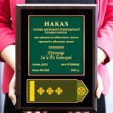 Погон ДПСУ сувенір до присвоєного звання памятна плакетка подарок 2101626193 фото