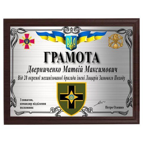 Плакетка а4 з дипломом для військового на металі 2012006148 фото