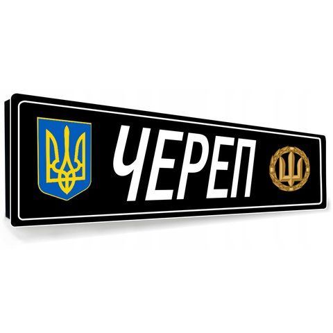 Автомобільні металеві номери сувенірні 2153945263 фото