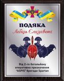 Плакетка подяки від 2 батальону оперативного призначення ASPIS бригади Spartan 2471330642 фото