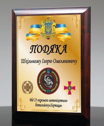 Диплом на металі з дерев'яною плакеткою іменною виготовити 2135786548 фото