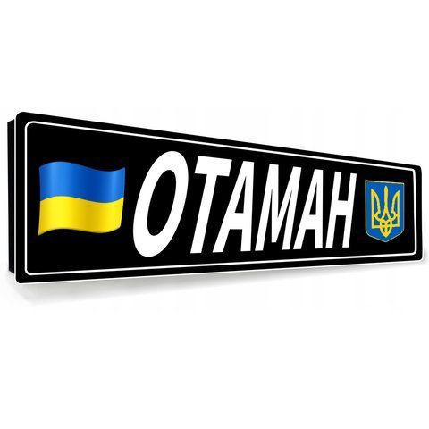 Номер авто сувенірний для військових із позивним металевий 1938331996 фото