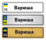 Іменні металеві номери на дитячий транспорт (Індивідуальний) Варюша 776160313 фото