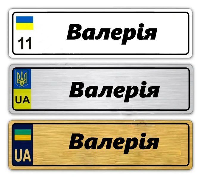 Іменні металеві номери на дитячий транспорт (Індивідуальний) Варюша 776160313 фото