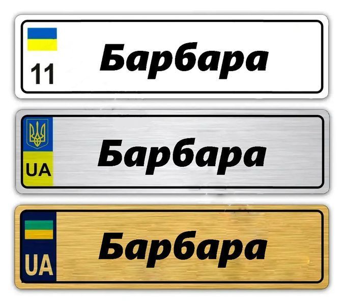 Іменні металеві номери на дитячий транспорт (Індивідуальний) Варюша 776160313 фото