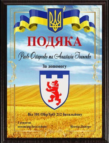 Плакетка подяки з металу за допомогу від 101 ОБрТрО 212 Батальйону, з фоном поля 2472628033 фото