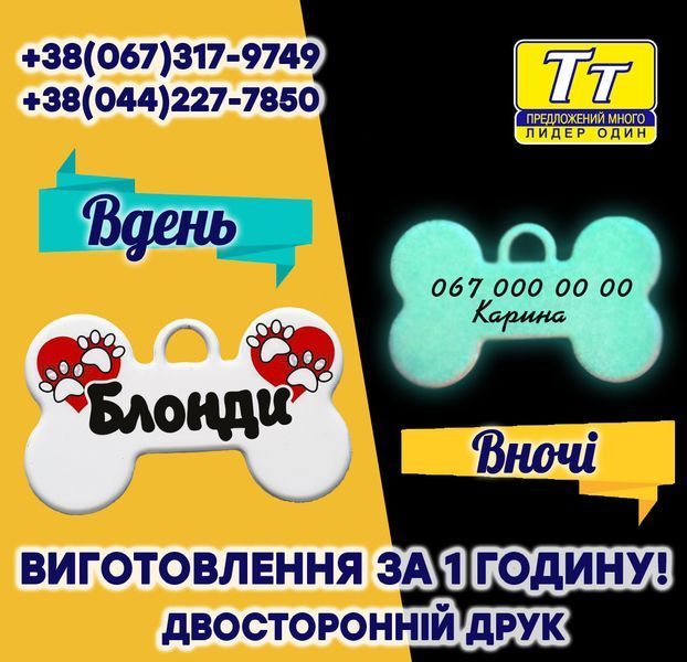 АДРЕСНИК З ФОТО ВАШОГО ВИХОВАНЦЯ СВІТИТЬСЯ В ТЕМРЯВІ ФІОЛЕТОВО-СИНІМ СВІТЛОМ (ВИГОТОВЛЕННЯ 1 ГОДИНУ) 707461729 фото