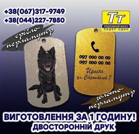АДРЕСНИКИ І БРЕЛКИ ДЛЯ СОБАК (ВИГОТОВЛЕННЯ ЗА 1 ГОДИНУ) 700961314 фото