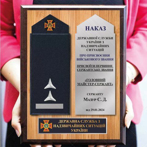 Плакетка про присвоєння звання ДСНС металева &mdash; диплом нагородної з плакеткою 2106781197 фото