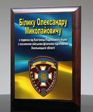 Дипломи на замовлення для військовослужбовців із металу 2134042090 фото