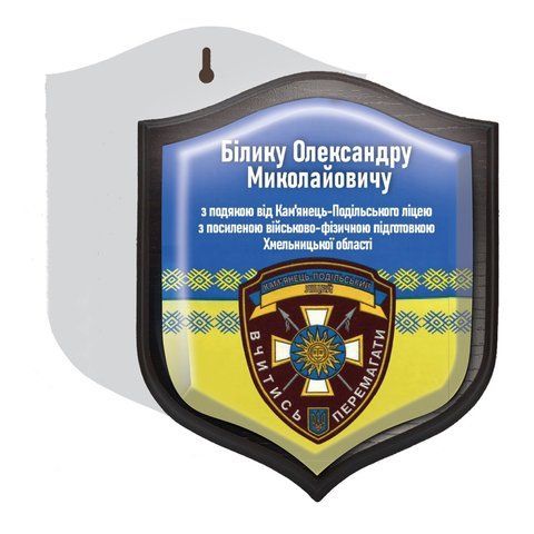 Нагородний подарунок для військового в якості подяки 2145441739 фото