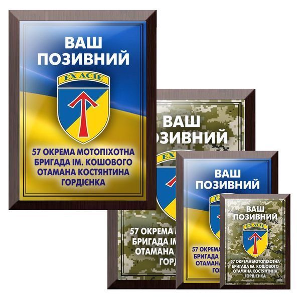 Символ відваги унікальний диплом із покличним для чоловіка-захисту 59 ОМБР Ійм. НАСА Гандзюка 1920504740 фото