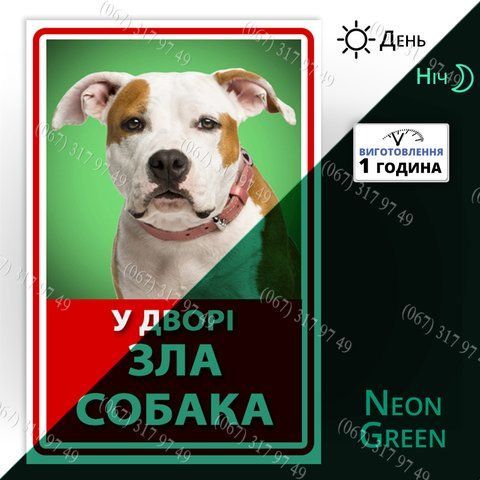 Табличка зла собака світиться в темряві вночі з фото Вашого собаки виготовимо за 1 день 1615962773 фото