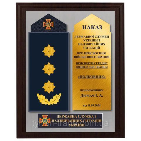 Погон ДСНС 2134141356 фото