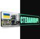 Номер під скло авто світиться в темряві &mdash; фосфорний неоновий 2102895842 фото 3