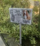 Табличка ритуальна для тварин із кодом qr 2326525072 фото