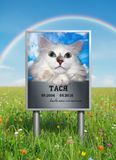 Табличка на кладовище для котика або собачки  942421198 фото