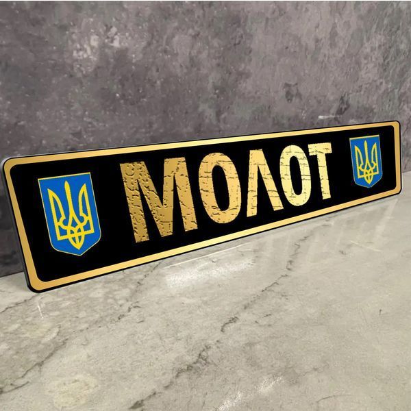 Номерні знаки для військових ЗСК металеві з Вашим покличним 1936254229 фото