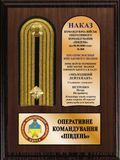 Військові сувеніри Погону пам'ятної про присвоєння звання &mdash; подарунок військовому плакетку 2435760605 фото