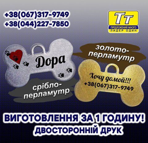 АДРЕСНИК ДЛЯ КІШОК І СОБАК В ПЕРЛАМУТРОВОМУ КОЛЬОРІ (ПІД ЗОЛОТО ПЕРЛАМУТР, ПІД СРІБЛО, ПЕРЛАМУТР) ВИГОТО. 1 710268072 фото