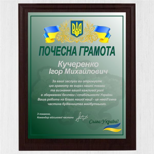 Сертифікат для військового на металі іменний із Вашим текстом 1940303339 фото