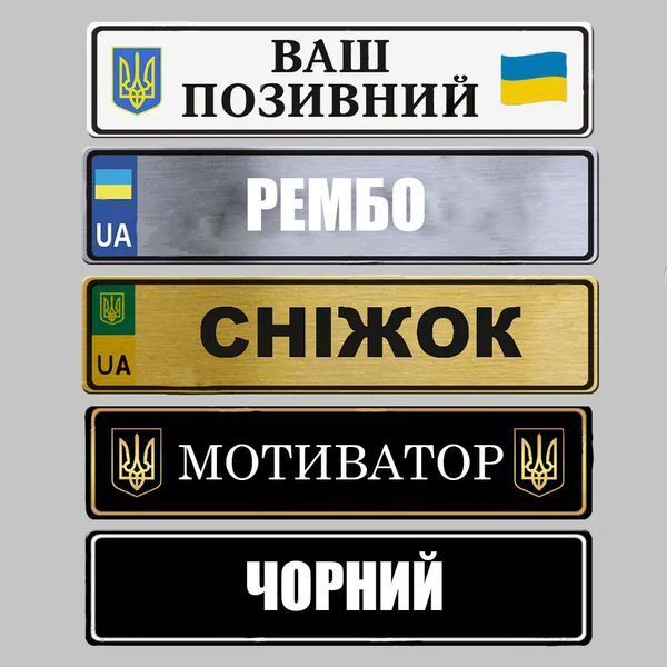Сувенірні номери на автомобіль 1683217971 фото