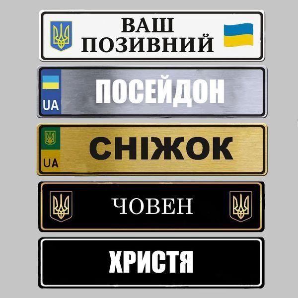 Сувенірні номери на автомобіль 1683217971 фото