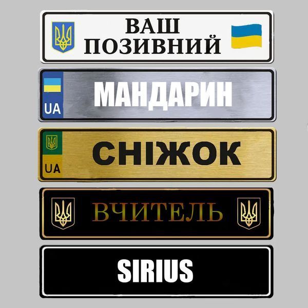 Сувенірні номери на автомобіль 1683217971 фото