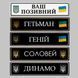 Сувенірні номери на автомобіль 1683217971 фото 7