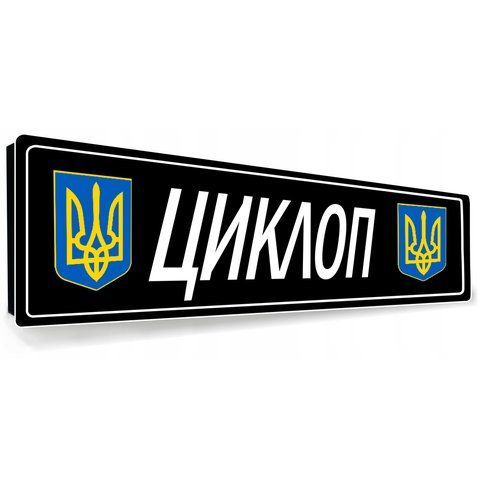 Сувенірні номери автомобільні купити 2148725488 фото
