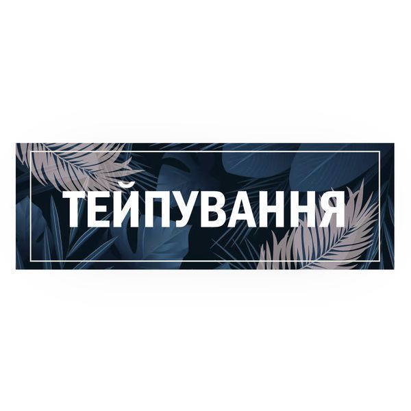 Табличка вивіска, на двері, у салон краси, BR. BEAUTY ROOM, Електрофорез, 30x10 см 2127243814 фото
