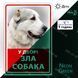 Табличка Зла Собака Алабай світиться в темряві з неонового металу Виготовимо за 1 день 1616397034 фото 1