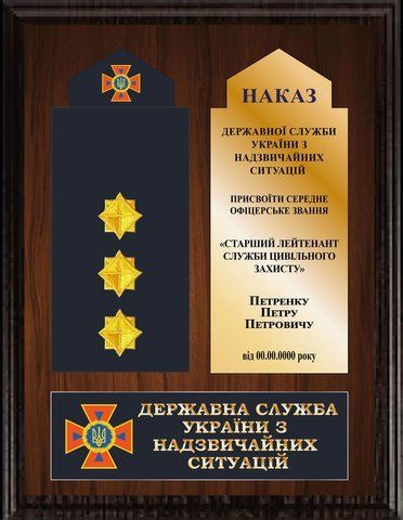 ДСНС погони &mdash; Погон ДСНС сувенірний на плакетці плашці 2327772678 фото