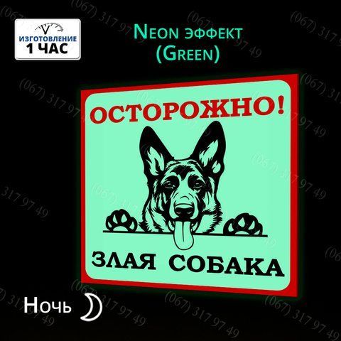 Табличка Осторожно злая собака. Светится в темноте  1027880416 фото