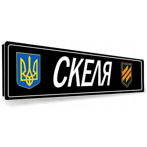 Сувенірні номери для військових із Вашим покличним 2149870897 фото