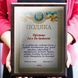 Дипломи, сертифікати, грамоти, подяки на металі під замовлення 1908244709 фото 9