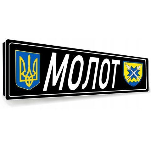 Сувенірні номери для солдатів ЗСУ на металі 1942392865 фото