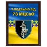 Грамоти з металу для волонтерів від Вашої бригади "З подякою від 73 МЦСПО" 2099734336 фото