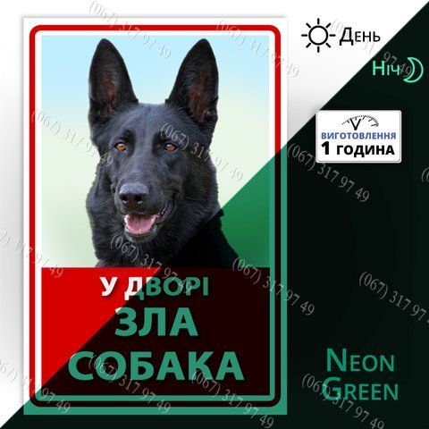 Табличка обережно зла собака з фотографією Вашого собаки &mdash; світиться в темряві вночі, виготовимо за 1 годину 1573294639 фото