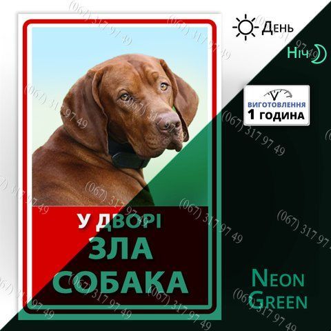 Красива металева табличка У дворі зла собака з фото Вашого улюбленця-світиться в темряві вночі 1573298343 фото
