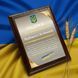Металева подяка військовому &laquo;За професіоналізм&raquo; iDMcMpEM фото 1