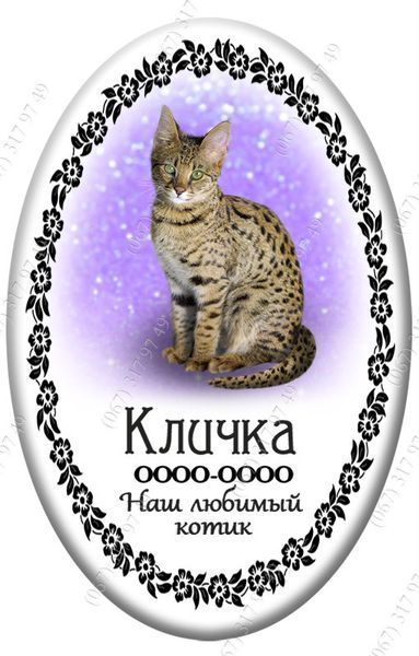 Таблички для кішок котиків з ніжкою для установки в землю. Виготовимо за 1 годину 1208458441 фото